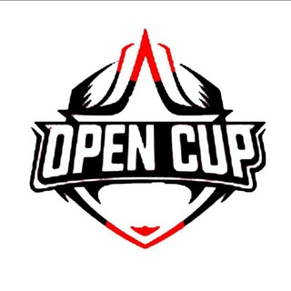 Логотип канала pm_opencup_chat