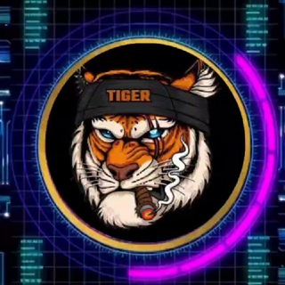 Логотип tigertranig