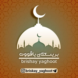 Логотип briskay_yaghoot