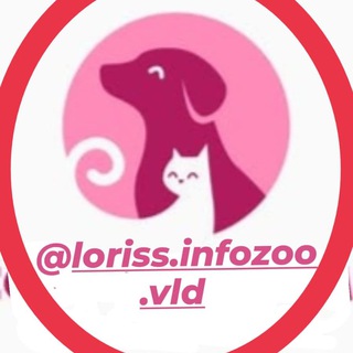 Логотип канала lorissinfozoovld