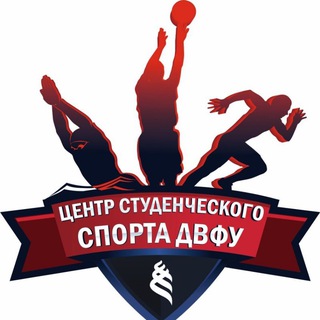 Логотип канала sport_fefu