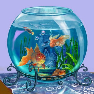 Логотип my_aquarium_klas