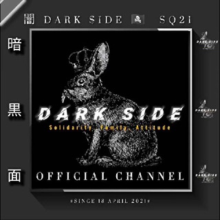 Логотип darksidedarks