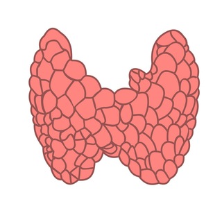 Логотип endomedic01