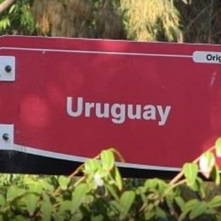 Логотип канала vuruguay