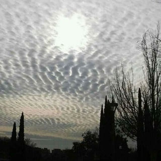 Логотип kanalchemtrailshaarp