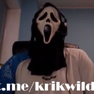 Логотип krikwild