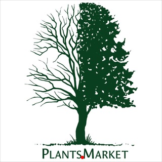 Логотип канала plants_market_spb