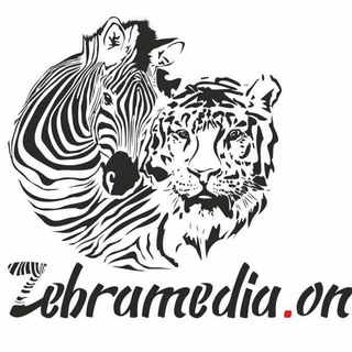 Логотип канала zebra_media