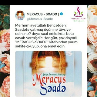 Логотип канала meracus_seade