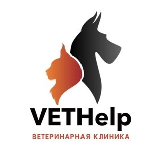 Логотип канала vethelp_tomsk