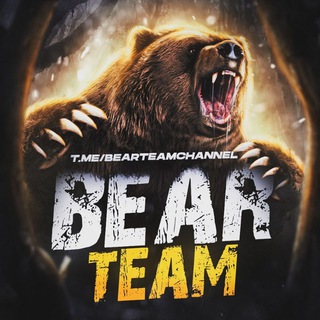 Логотип канала BearTeamChannel