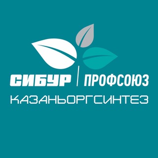 Логотип канала social_kos