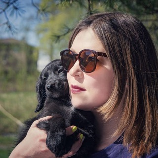 Логотип канала evile_pet