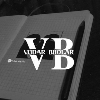 Логотип канала vudar_biiolar