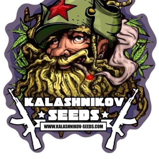 Логотип канала kalashnikov_seeds_otziv