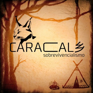 Логотип канала caracal_sobrevivencialismo