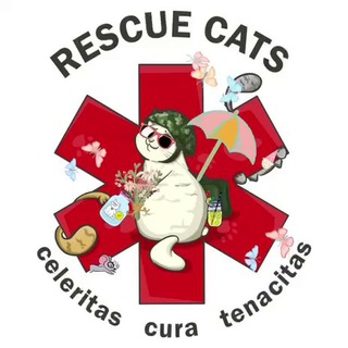 Логотип канала rescue_cats_channel