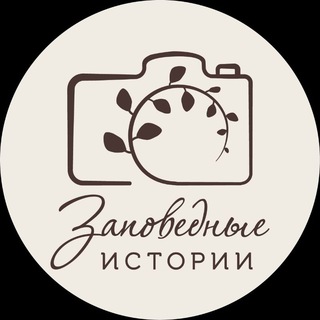 Логотип канала wildlifestoriesru