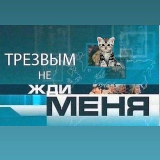 Логотип канала netrezvii