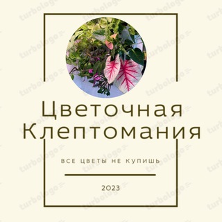 Логотип канала cvetochnayakleptomaniya