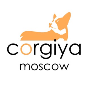 Логотип corgiya_moscow