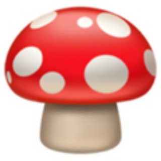 Логотип muhomoromru