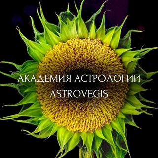 Логотип канала ASTROVEGIS_ACADEMY