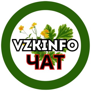 Логотип канала vzkinfochat