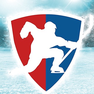 Логотип канала hockeyzbss