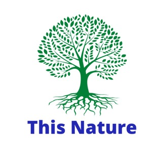 Логотип канала thisnature