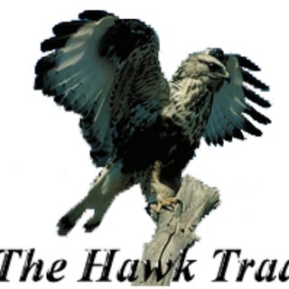 Логотип канала thehawktrader_lengua