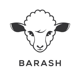 Логотип канала barashstore