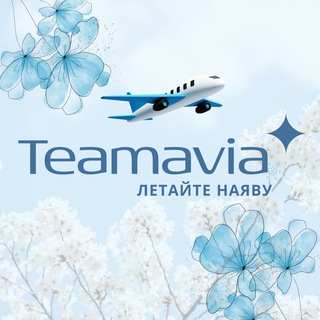 Логотип канала teamaviatour