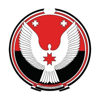 Логотип канала udmurtia_tgnews