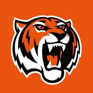 Логотип канала hcamurtigers