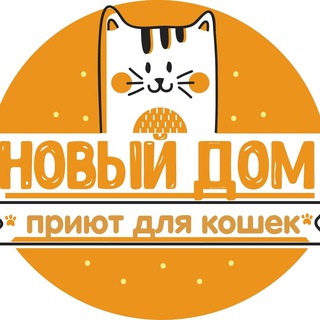 Логотип newdomcat