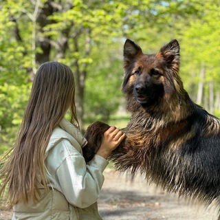 Логотип aggressive_zhina