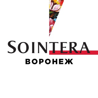 Логотип sointera