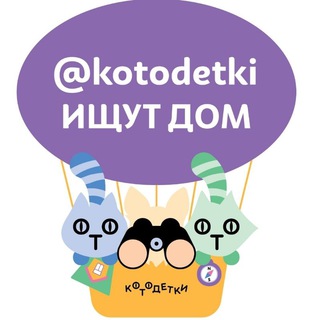 Логотип канала kotodetki_ischut_dom