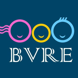 Логотип канала bvre_de