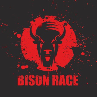 Логотип канала bisonrace