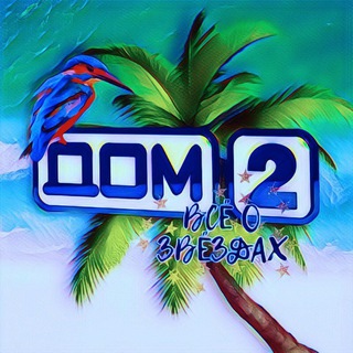 Логотип канала dom_2_zvezd