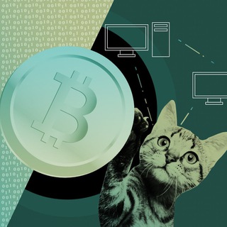 Логотип канала catcryptoboxer