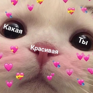 Логотип канала pichisserdechkami