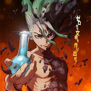 Логотип dr_stone_w