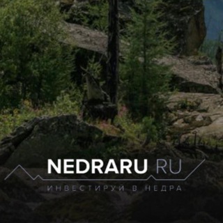 Логотип канала nedraru