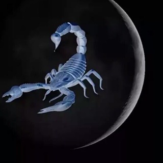 Логотип lunavscorpione