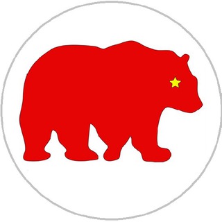 Логотип канала myredbear