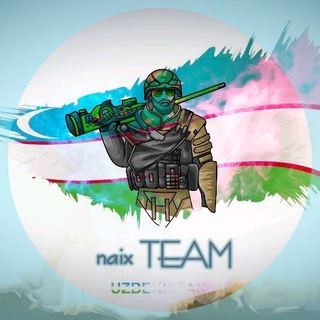 Логотип канала naix_team